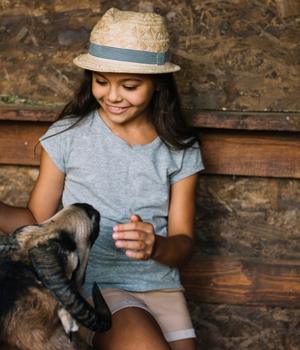 Animal Interaction