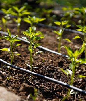 Sustainability